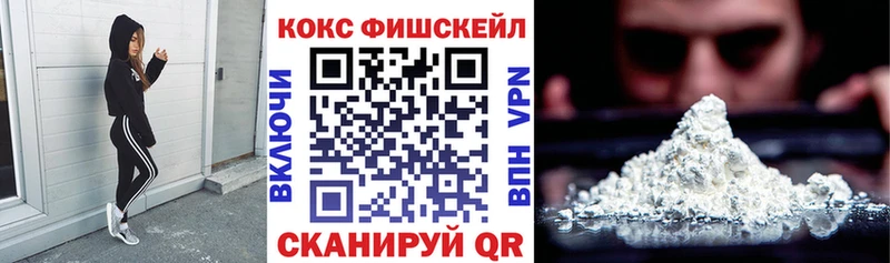 закладка  Южно-Сухокумск  Cocaine 97% 