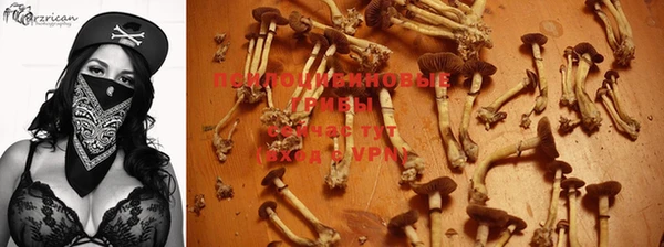 mdpv Алзамай