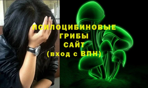 дмт Алексеевка