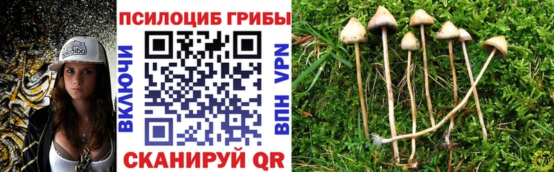 где можно купить   omg ONION  Псилоцибиновые грибы ЛСД  Южно-Сухокумск 